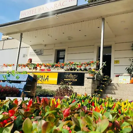 Pankrac ホテル 3*